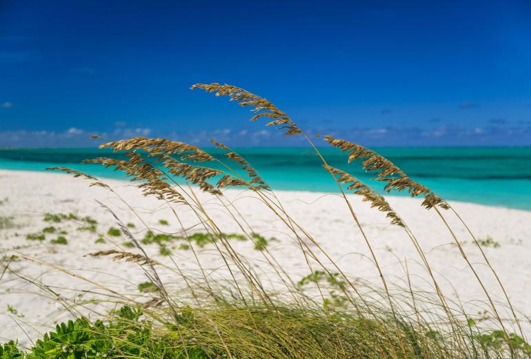 Tci018 – Luxury beachfront villa in Grace Bay