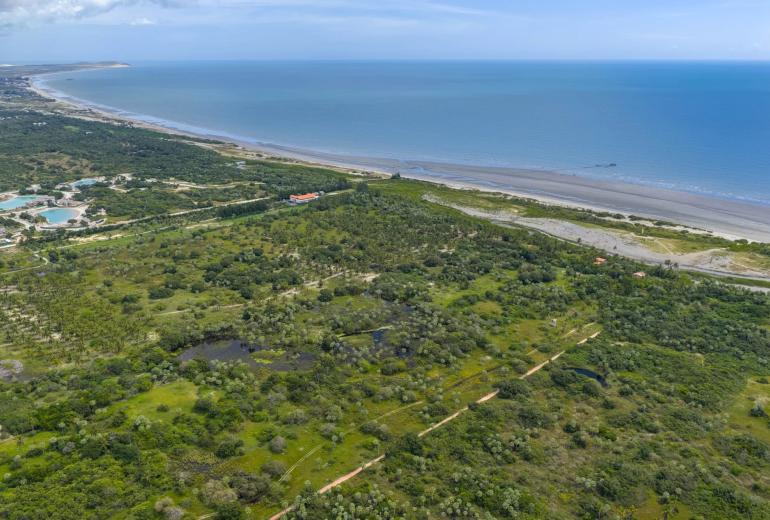 Cea072 - Último grande terreno de frente para o mar na praia de Preá