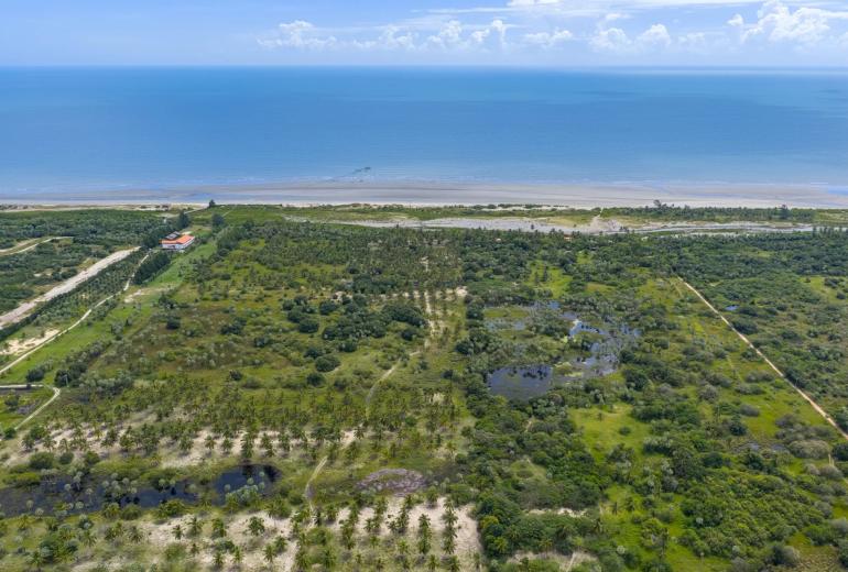 Cea072 - Último grande terreno de frente para o mar na praia de Preá