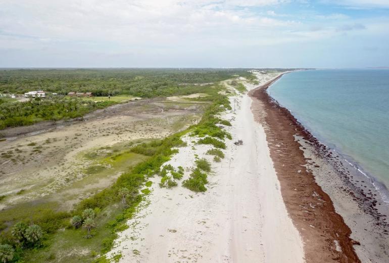 Pre001 - Last large plot of land facing the sea on Preá beach