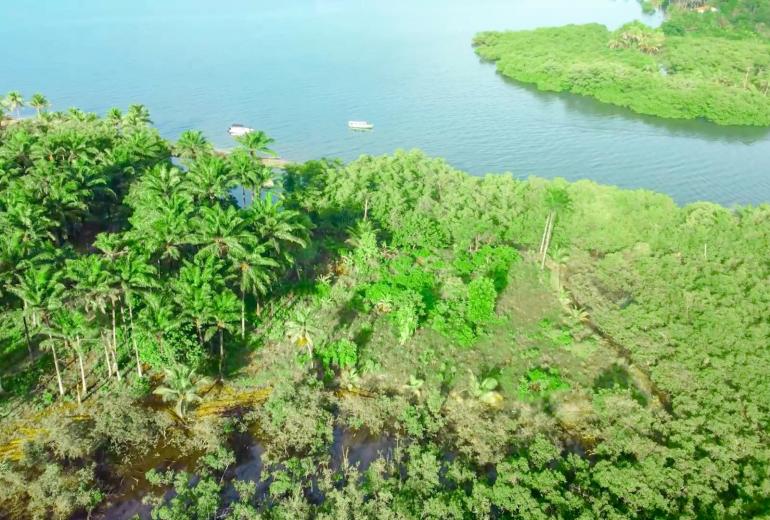 Bah330 - Bah330 - Île de Selvagem pour le développement hôtelier