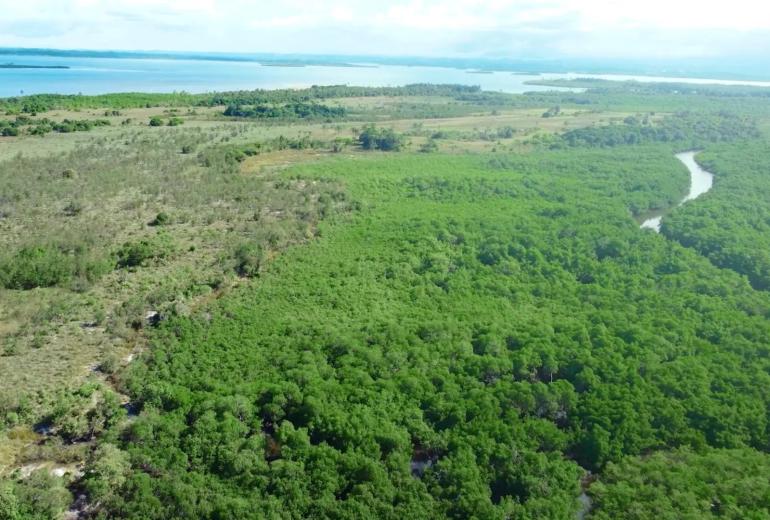 Bah330 - Bah330 - Île de Selvagem pour le développement hôtelier