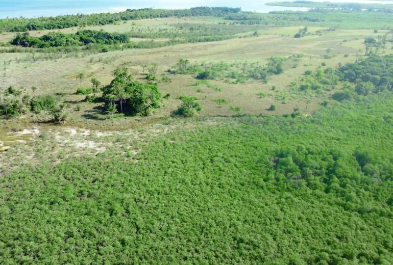 Bah330 - Bah330 - Île de Selvagem pour le développement hôtelier