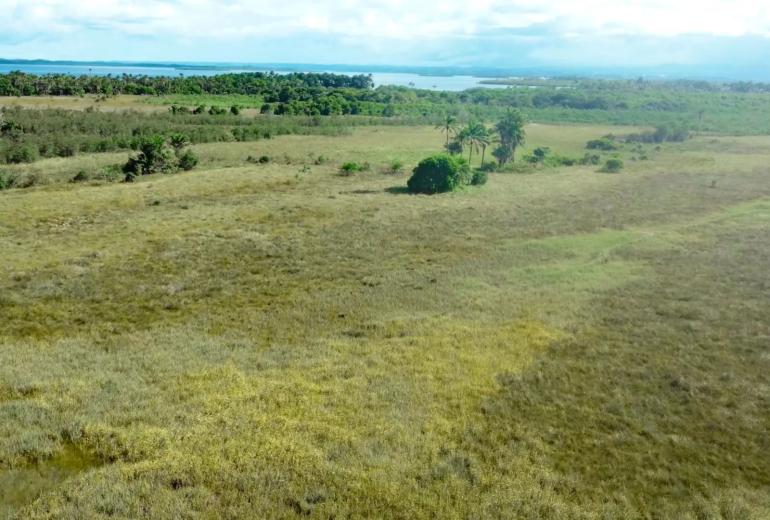 Bah330 - Bah330 - Île de Selvagem pour le développement hôtelier