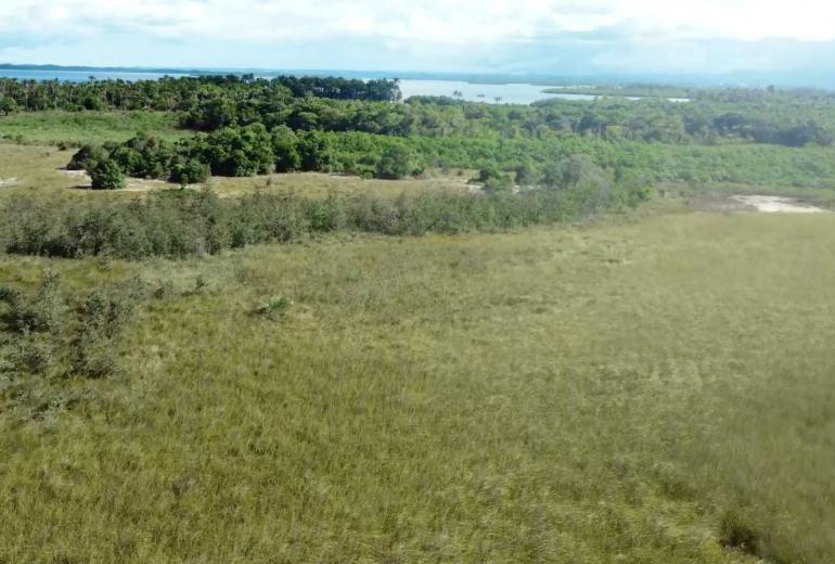 Bah330 - Bah330 - Île de Selvagem pour le développement hôtelier
