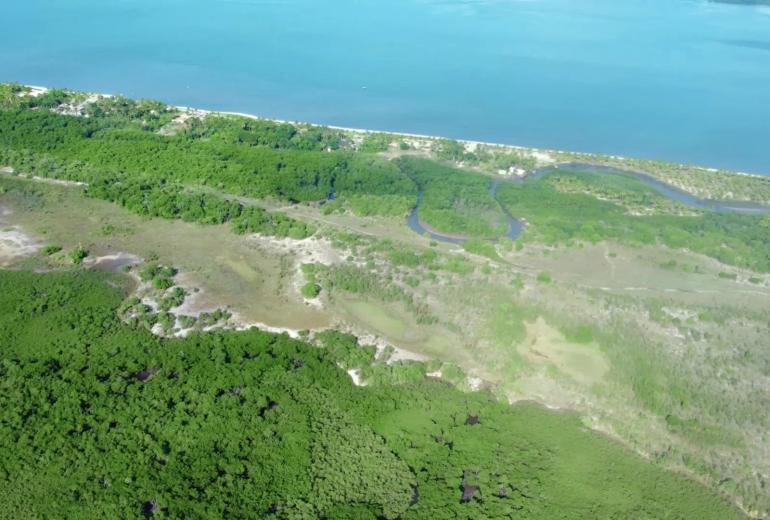 Bah330 - Bah330 - Île de Selvagem pour le développement hôtelier