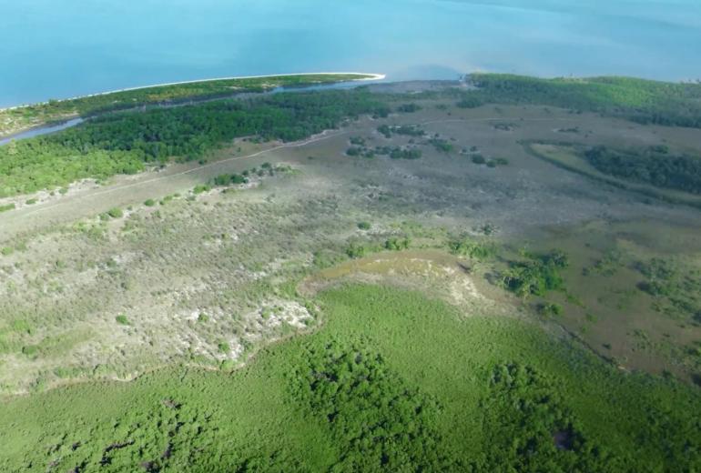 Bah330 - Bah330 - Île de Selvagem pour le développement hôtelier