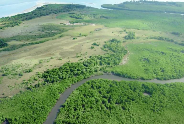 Bah330 - Bah330 - Île de Selvagem pour le développement hôtelier