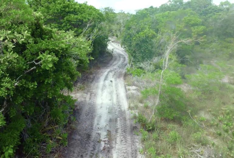 Bah330 - Bah330 - Île de Selvagem pour le développement hôtelier