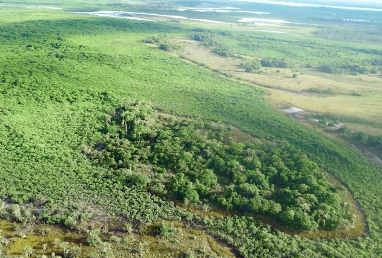 Bah330 - Bah330 - Île de Selvagem pour le développement hôtelier
