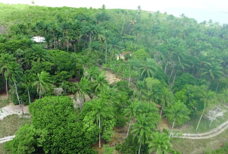 Bah330 - Bah330 - Île de Selvagem pour le développement hôtelier