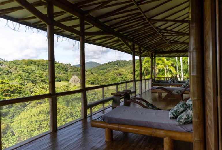 Bah323 – Fazenda em meio à Mata Atlântica em Serra Grande, Bahia