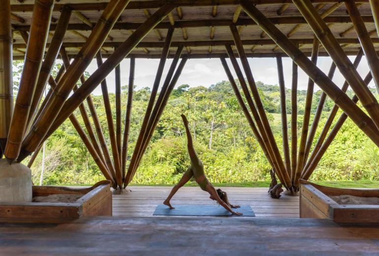 Bah323 – Fazenda em meio à Mata Atlântica em Serra Grande, Bahia