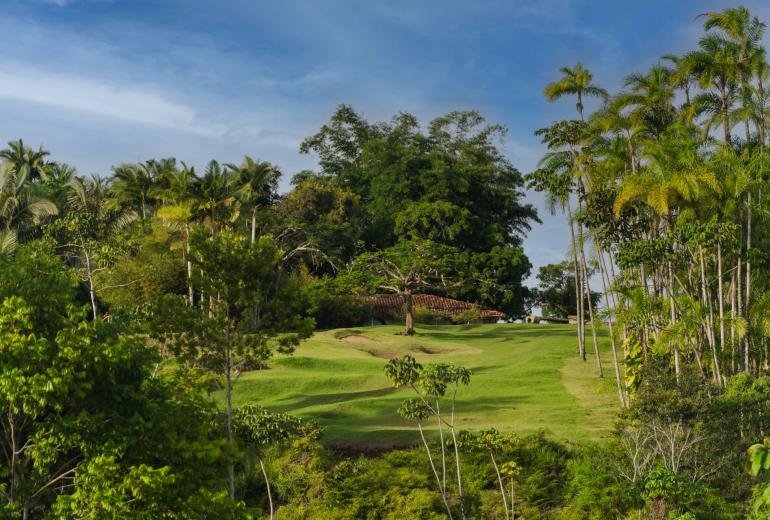 Bah323 – Fazenda em meio à Mata Atlântica em Serra Grande, Bahia