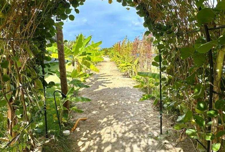 Ala006 - Milagre, casa a venda no paraíso