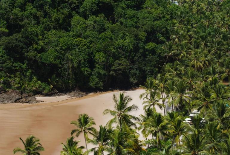 Bah485 - Villa luxueuse à Itacaré entourée par la nature